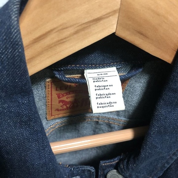 Levi - Picture 3 of 3